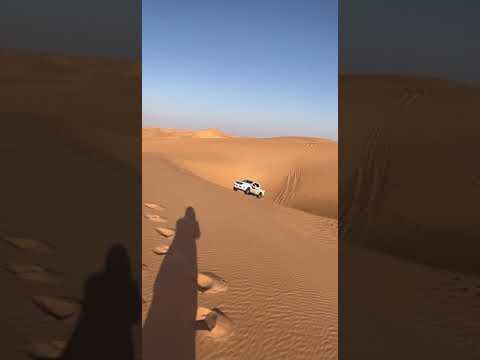 تطعيس نافارا