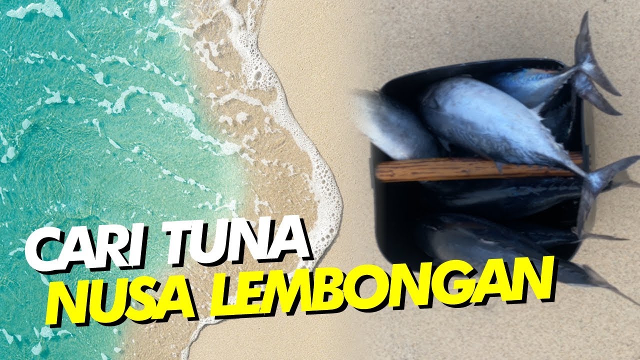 JARING TUNA DI NUSA LEMBONGAN (PART1)