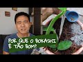 O que faz o adubo Bokashi ser tão diferente? (E tão eficiente)