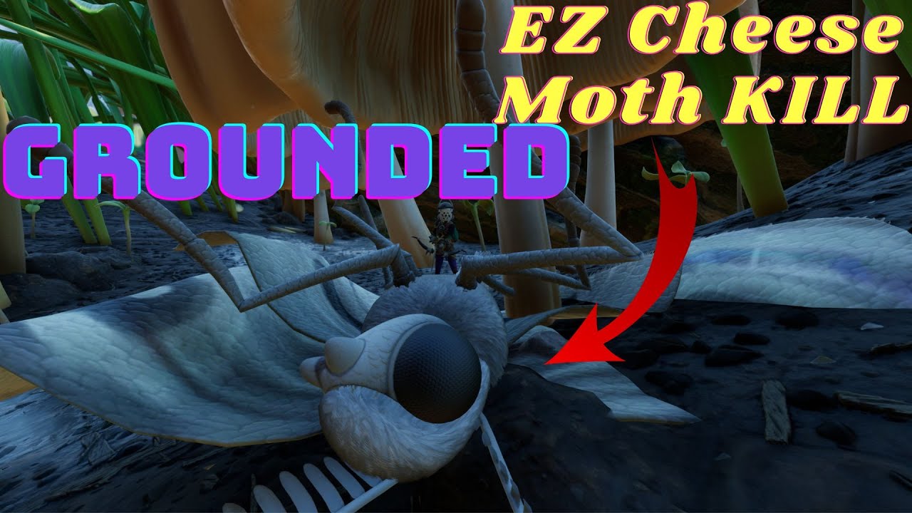 Easiest Solo cheese moth kill! Bugged kill! Clips Grounded 1.0 Gameplay