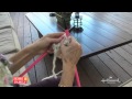Sophieuliano knitting tips homeandfamilytv