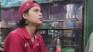 edisi cuci gudang spesial burung mewah kita jual cepat dan murah yang minat langsung telepon