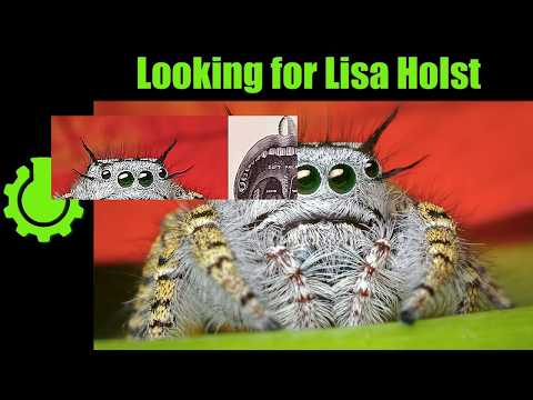 Looking for Lisa Holst (Re: 10 Misconceptions Rundown)
