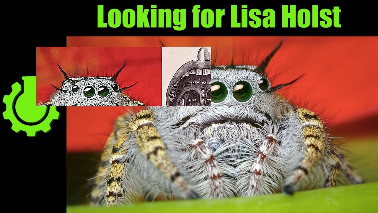 Looking for Lisa Holst (Re: 10 Misconceptions Rundown)