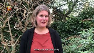 Promo Kerk2030 webinar 7 - Janneke Burger, Kerkvernieuwing in de praktijk