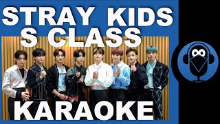 Stray Kids \