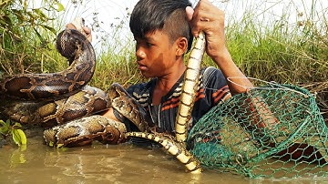 Primitive Technology: Simple DIY Python Snake Trap Using Real hand That Work 100%