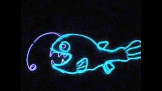 DJ Frontier - Fragile