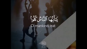 حالات واتس اب تلاوة خاشعة🎧 القارئ رعد محمد الكردي💛