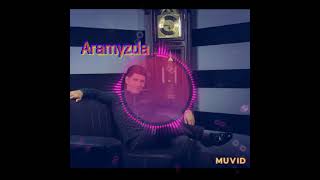 Serdar Atajanow-Aramyzda Halk aydymy #2021 #janlyses #serdaratajan