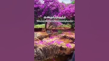 سورة القيامة من الآية (١) إلي الآية (٩) بصوت القارئ إسلام صبحي