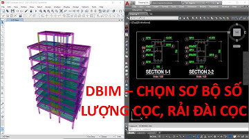 Chọn sơ bộ số lượng cọc và rải đài cọc | DBim