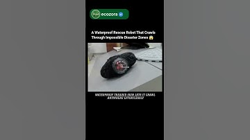 Slug Robot With Living Tank Skin Shocks The World 🤖 #robotics #innovation #technews #future #science