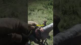 Top 3 Camp Requests In Rdr2