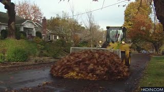 PBOT's free Leaf Day pickup starts Friday