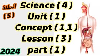 ساينس 4/ unit 1 / concept 1.1/lesson 3/الحلقة 5/  2024 المعاصر / part 1