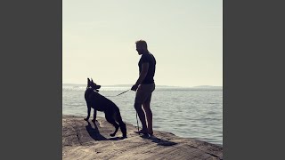 Doberman Dreams