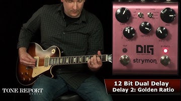 Strymon DIG Dual Digital Delay