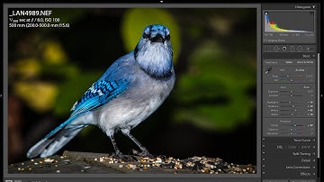 Lightroom Quick Tips - Episode 33: Auto Slider Tips