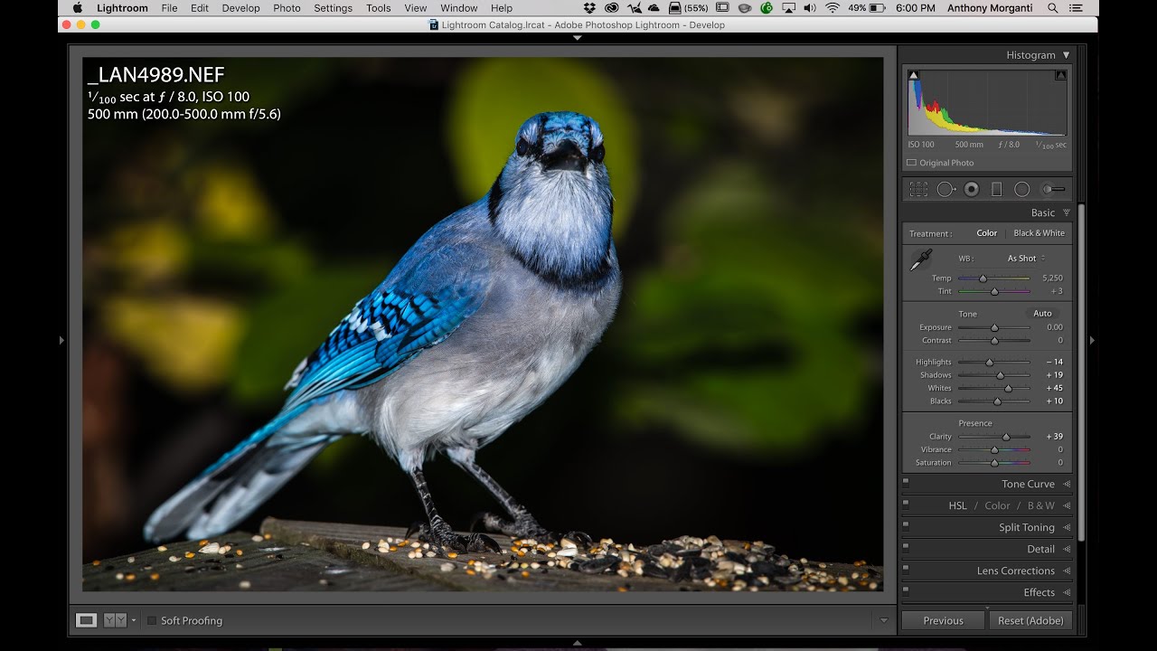 lightroom cc 2019 Lightroom Quick Tips - Episode 33: Auto Slider Tips