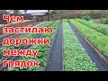 Дорожки (проходы) между грядками. Из чего мои дорожки между грядок, огород без сорняков и грязи