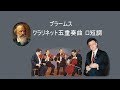 ブラームス クラリネット五重奏曲 ロ短調 作品115 ライスター /アマデウスsq.  Brahms : Clarinet Quintet