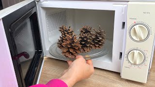 Amazing Idea! 😍 Look What I Did By Heating Pine Cones In The Oven!