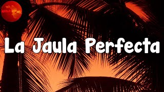 Video voorbeeld van "Chris Lebron - La Jaula Perfecta (Letra/Lyrics)"