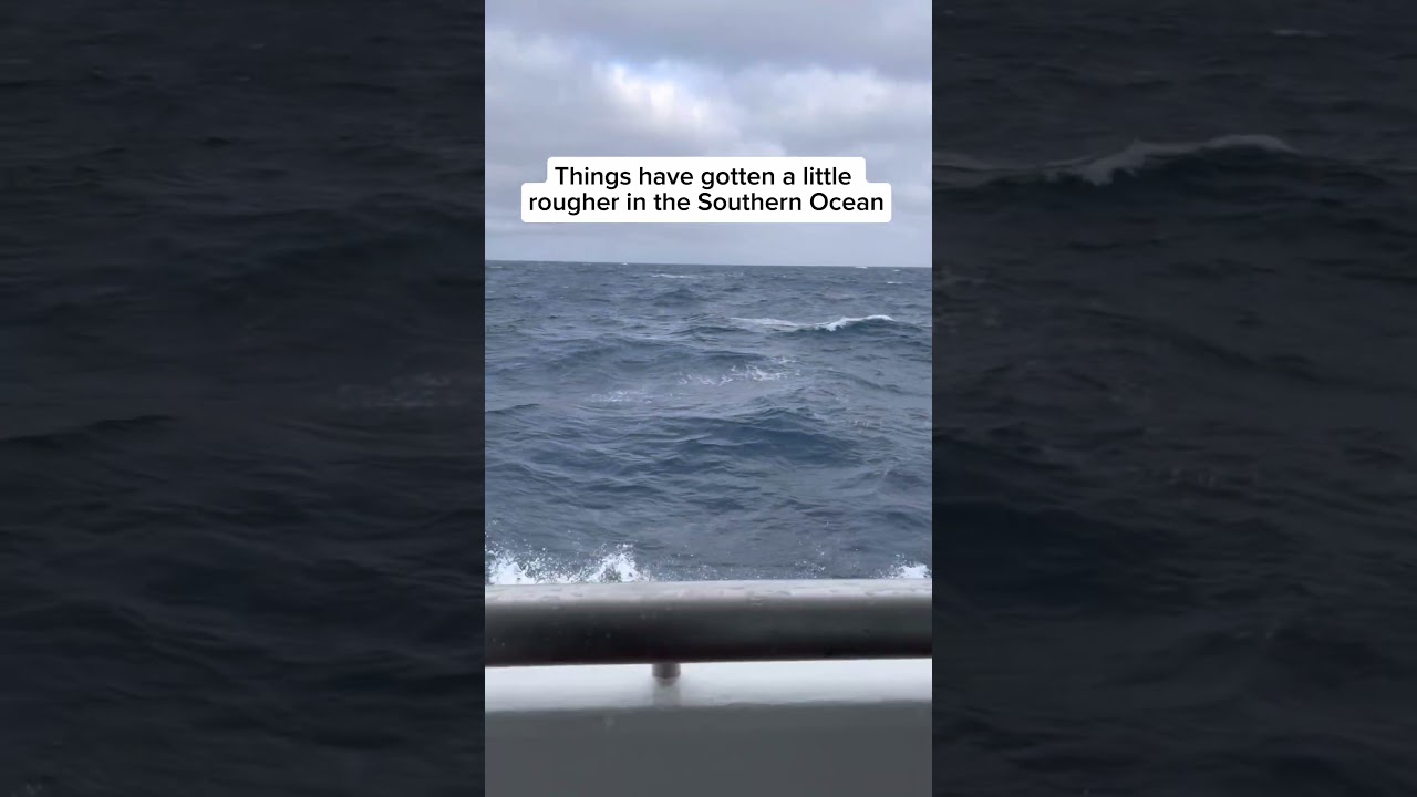 Day 7: New Zealand to Antarctica. Sea day