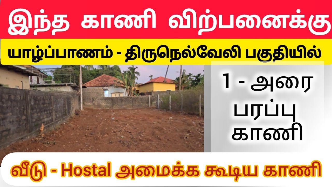 💥🤯🛑 யாழ்ப்பாணம் - திருநெல்வேலி பகுதியில் 🛑 இந்த காணி விற்பனைக்கு ⁉️💢 Jaffna | Srilanka #shorts