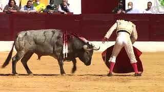 Una mañana para la historia de Ferrera en Olivenza | Tierra de Toros