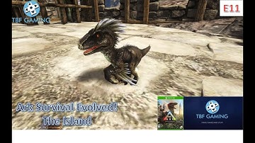Xbox One Ark Survival Evolved E11 The Island Baby mesopithecus and baby Raptor