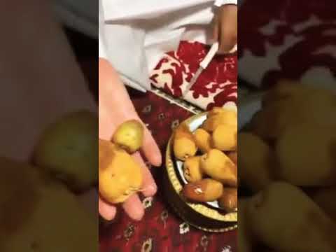 اكبر تمر في العالم تمر سلمى توجد في السعودية