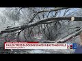 Fallen trees blocking roads in East Nashville, TN