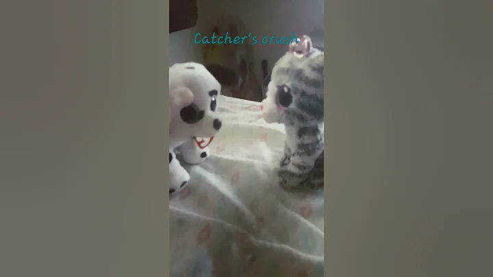 Love be like beanie boos