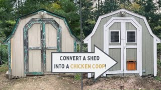 How to Convert a Shed into a Chicken Coop!