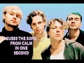 GUESS THE 5SOS SONG IN ONE SECOND | CALM VERSION