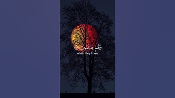 إسلام صبحي سورة آل عمران #اسلام_صبحي #سورة_آل_عمران #قرآن #قرآن #تلاوة_خاشعة #foryou #foryoupage