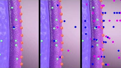 Overly reactivated star-shaped cells explain the unpredictability of Alzheimer’s disease.