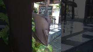 Daily Curiosity20230314