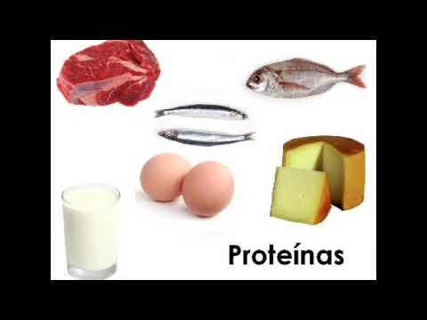 Gramos de proteinas por kilo