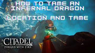 Citadel Forged with Fire: Infernal Dragon location and tame - You're a Tamer - Walkthrough - Guide