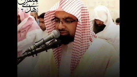 سورة نوح - ناصر القطامي _ Suret Nuh - Naser AlQatami The Holy Quran