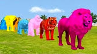 Hewan berubah warna(singa,macan,gorilla,gajah)