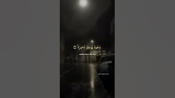 حالات واتساب / القرآن الكريم / تلاوة حزين / ميثم التمار طور عراقي / سورة القيامة / راحة نفسية ♥