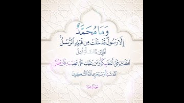 سورة آل عمران الآية ( 144 )