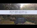 屋久島土染め工房ほあいと やまんこ湧水で染めています