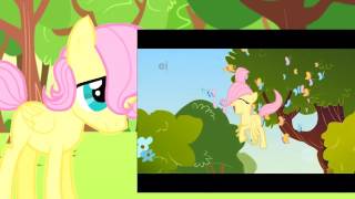 MLP: So Many Wonders Colt/R63 Cover