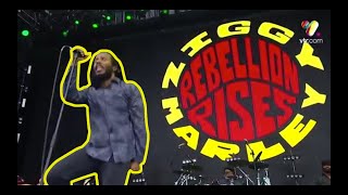 Download Lagu Ziggy Marley - 2019 Full Concert | One Love Download Lagu Ziggy Marley - 2019 Full Concert | One Love