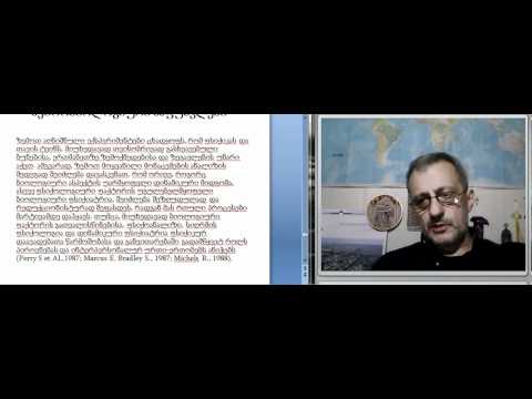 კორინთელი-ჯგუფური მუშაობა 13